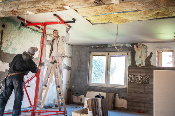 Best Eco-Friendly Insulation in Middlebranch, OH