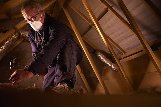Best Cellulose Insulation in Middlebranch, OH